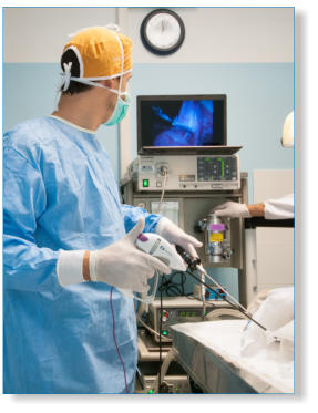 chirurgia per sterilizzazione veterinaria  laparoscopia mini invasiva