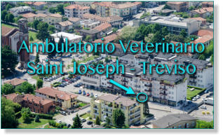 Veterinario Treviso San Giuseppe - Ambulatorio Saint Joseph